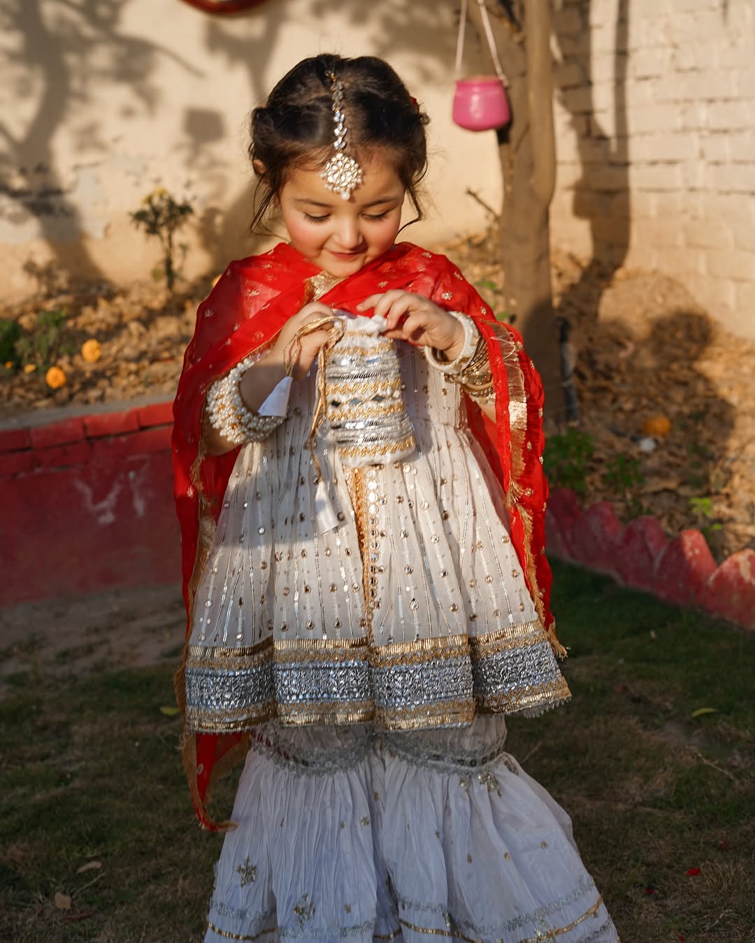 Noor Jahan Traditional Elegant Sharara