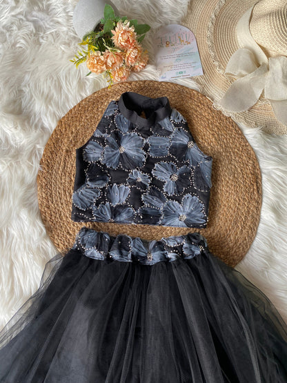 Black Hand Embroidery Net Lehenga
