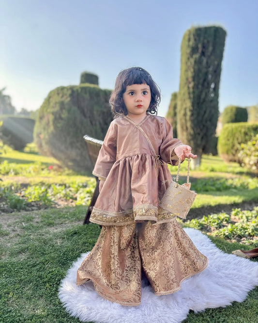 Royal Festive Look Vintage Grace Traditional Sharara Set