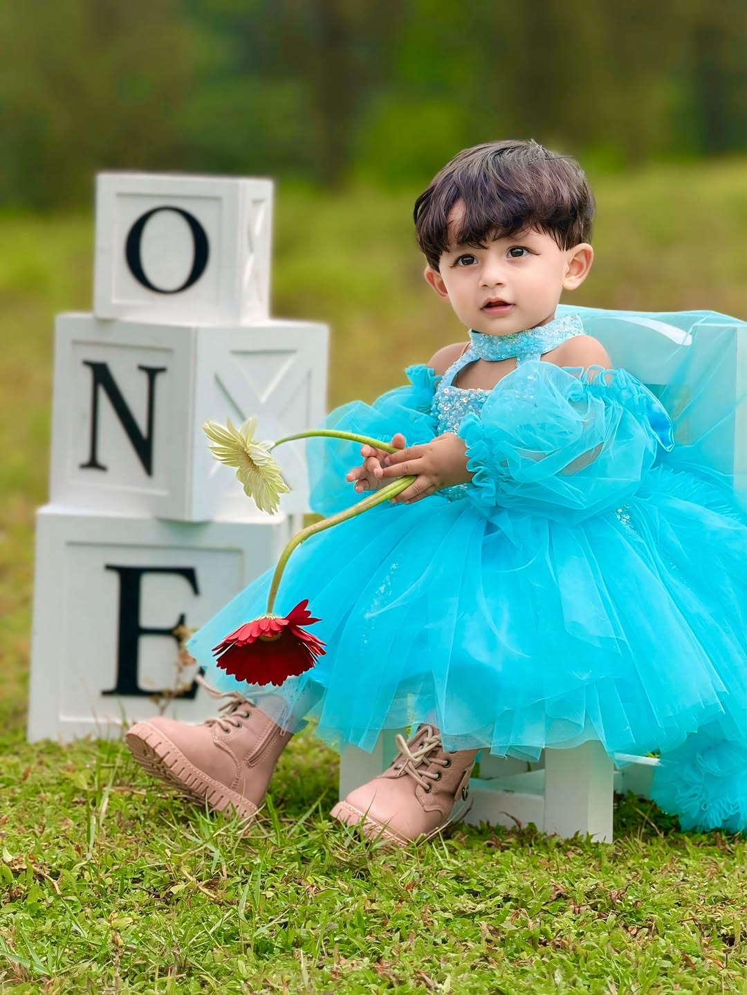 Kiara Royal Princess Net Gown