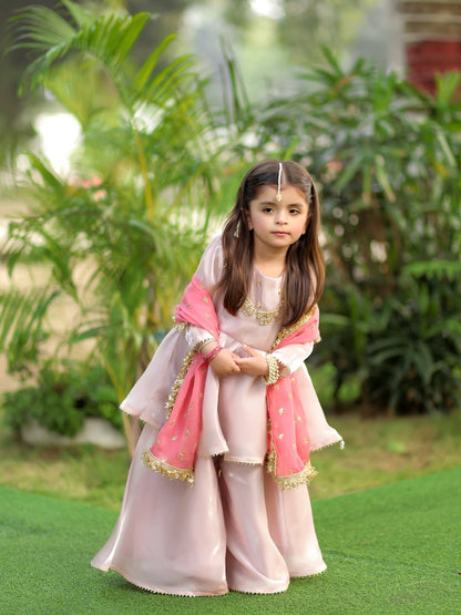 Blush Princess Sharara Set