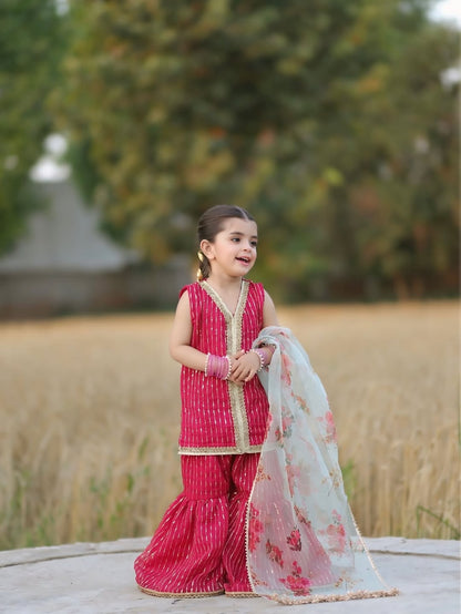 Aadhya Rani Pink Sharara Set