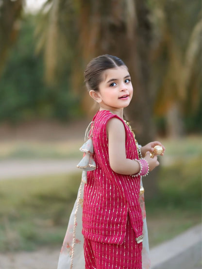 Aadhya Rani Pink Sharara Set