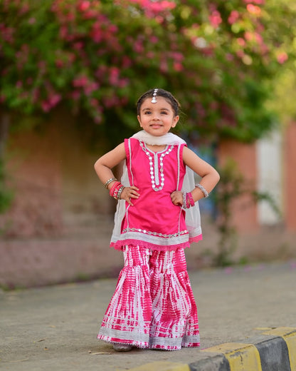 Shanaya Pretty Pink Sharara Set