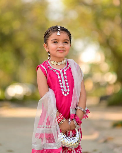 Shanaya Pretty Pink Sharara Set