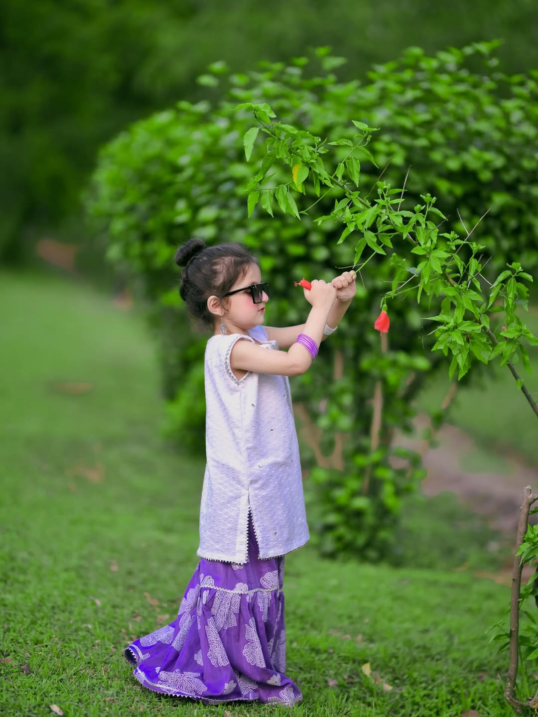 Anvika Lavender Dream Sharara Set